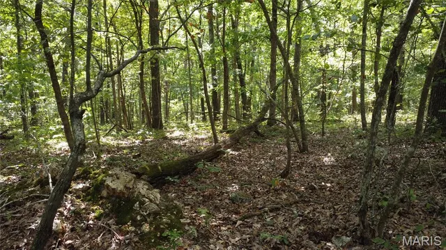 $118,500 | 10223 San Juan Trail, Sullivan, MO 63080