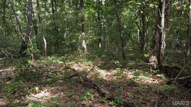 $118,500 | 10223 San Juan Trail, Sullivan, MO 63080