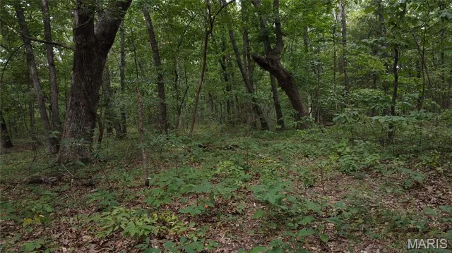 $118,500 | 10223 San Juan Trail, Sullivan, MO 63080