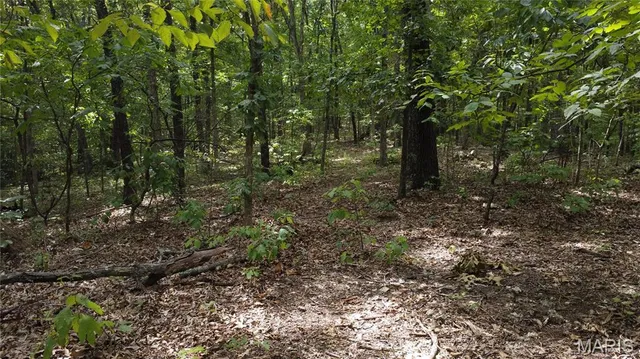 $118,500 | 10223 San Juan Trail, Sullivan, MO 63080