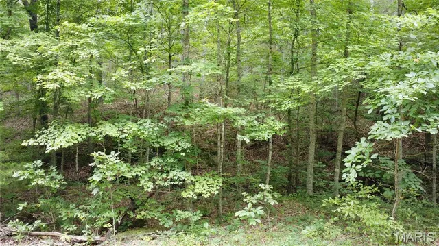 $118,500 | 10223 San Juan Trail, Sullivan, MO 63080