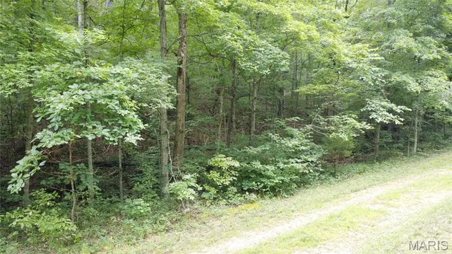 $118,500 | 10223 San Juan Trail, Sullivan, MO 63080