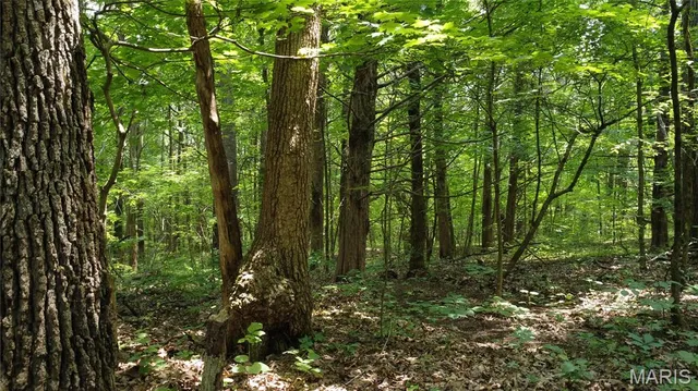 $118,500 | 10223 San Juan Trail, Sullivan, MO 63080