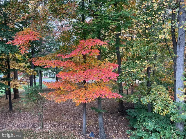 $9,000 | 11304 Peacock Hill Way, Great Falls, VA 22066