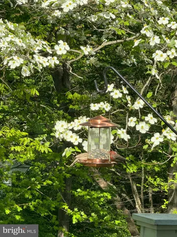 $9,000 | 11304 Peacock Hill Way, Great Falls, VA 22066