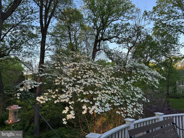 $9,000 | 11304 Peacock Hill Way, Great Falls, VA 22066