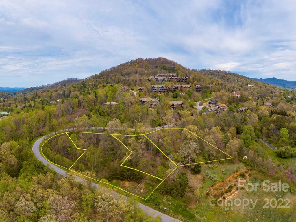 Lot 3 Senator Reynolds Road Asheville, NC 28804 - Photo 3 of 9 Gallery Image 3