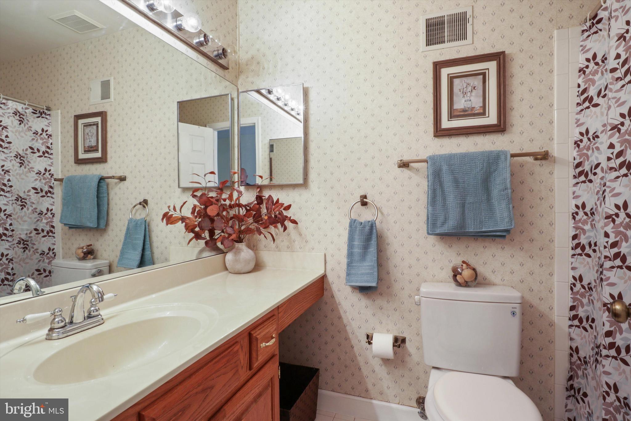 9097 Golden Sunset Lane Springfield, VA 22153 - Photo 23 of 40 Shared bathroom