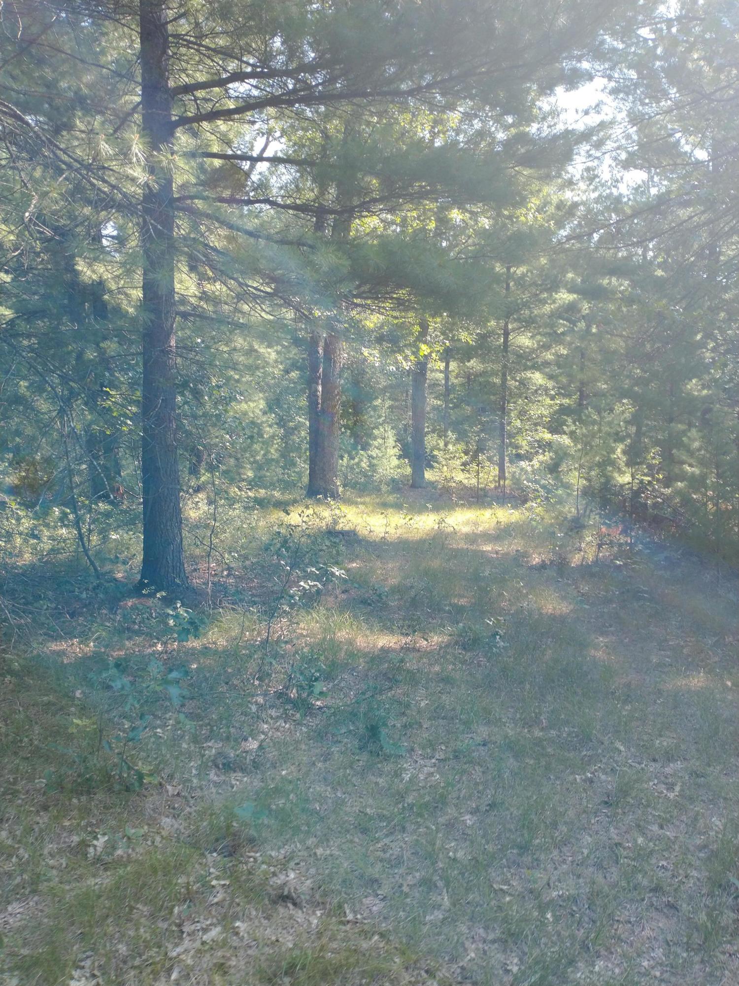V/l Skocelas Road North Manistee, MI 49660 - Photo 3 of 12 IMG_20210820_111939809