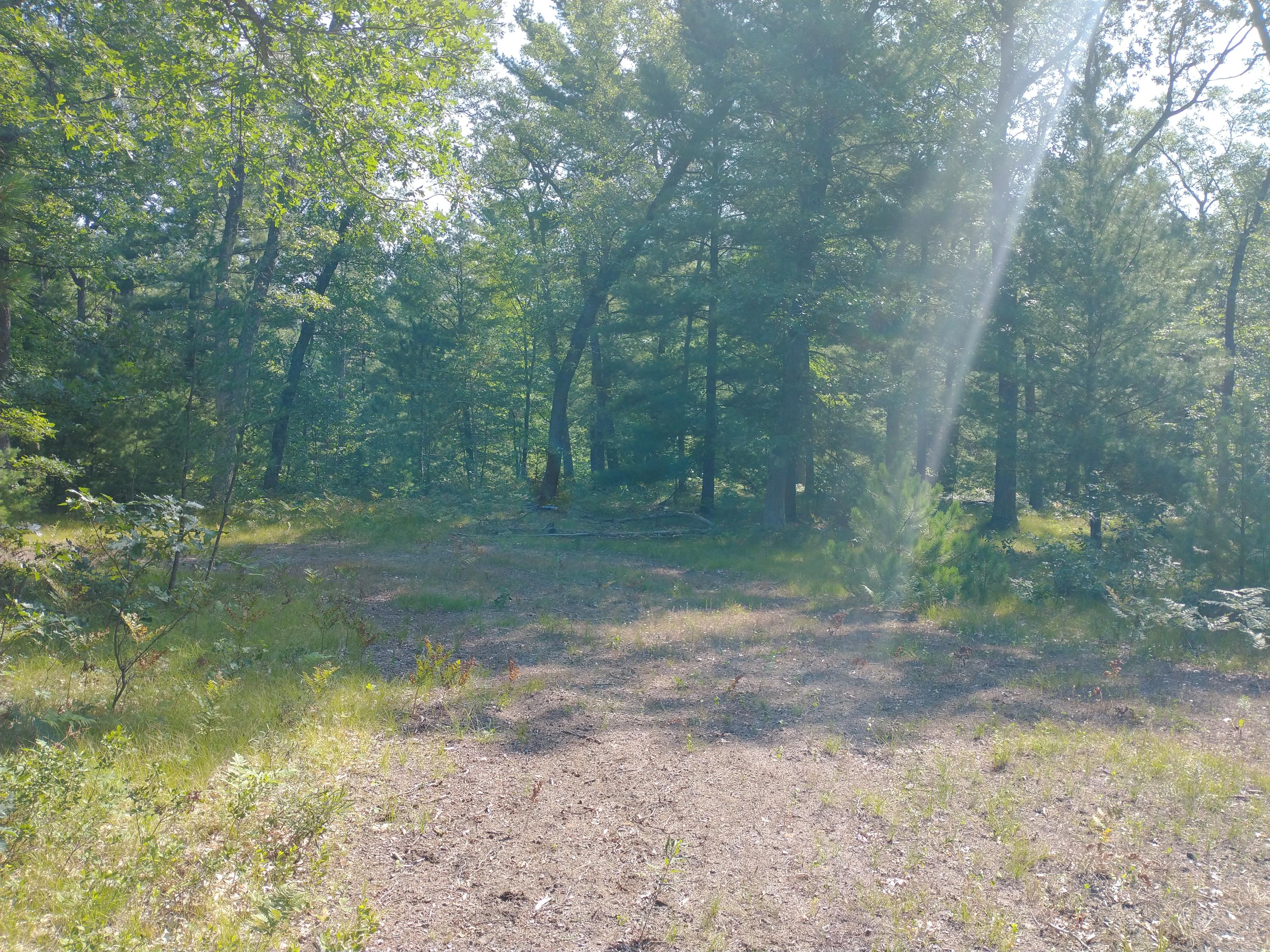 V/l Skocelas Road North Manistee, MI 49660 - Photo 7 of 12 IMG_20210820_112037278