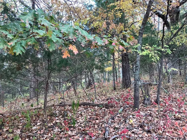 $300,000 | 1339 Wings Road, St. Albans, MO 63073