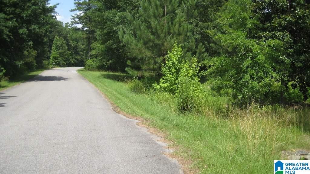 200 Hidden Ridge, Unit 8 AC Chelsea, AL 35043 - Photo 3 of 3 Gallery Image 3
