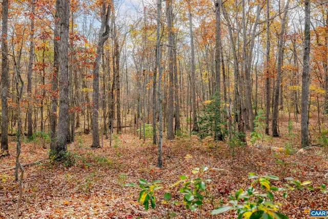 a view of road with trees