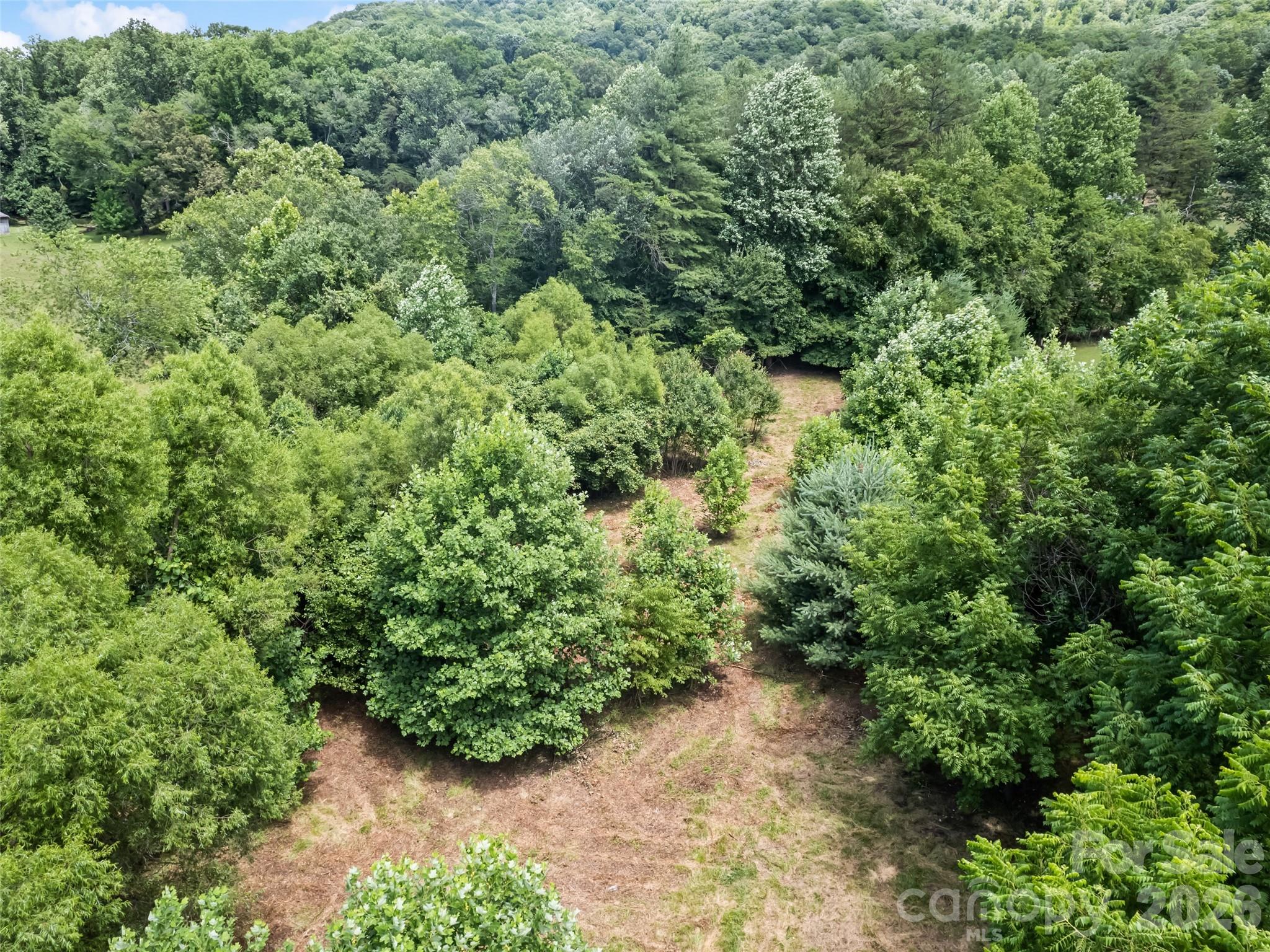 9999 Lollis Road Candler, NC 28715 - Photo 13 of 16