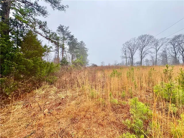 $59,000 | 405-lot 5) Stewart Gin Road, Unit LOT 5, Liberty, SC 29657