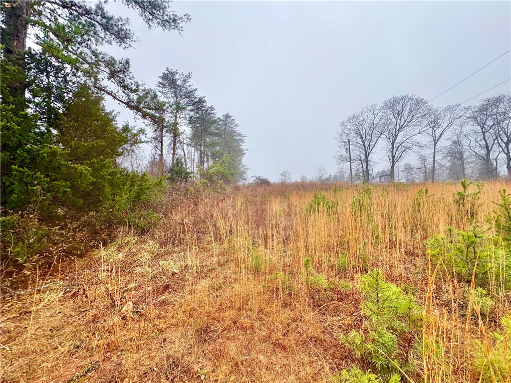 405-lot 5) Stewart Gin Road, Unit LOT 5 Liberty, SC 29657 - Photo 1 of 2