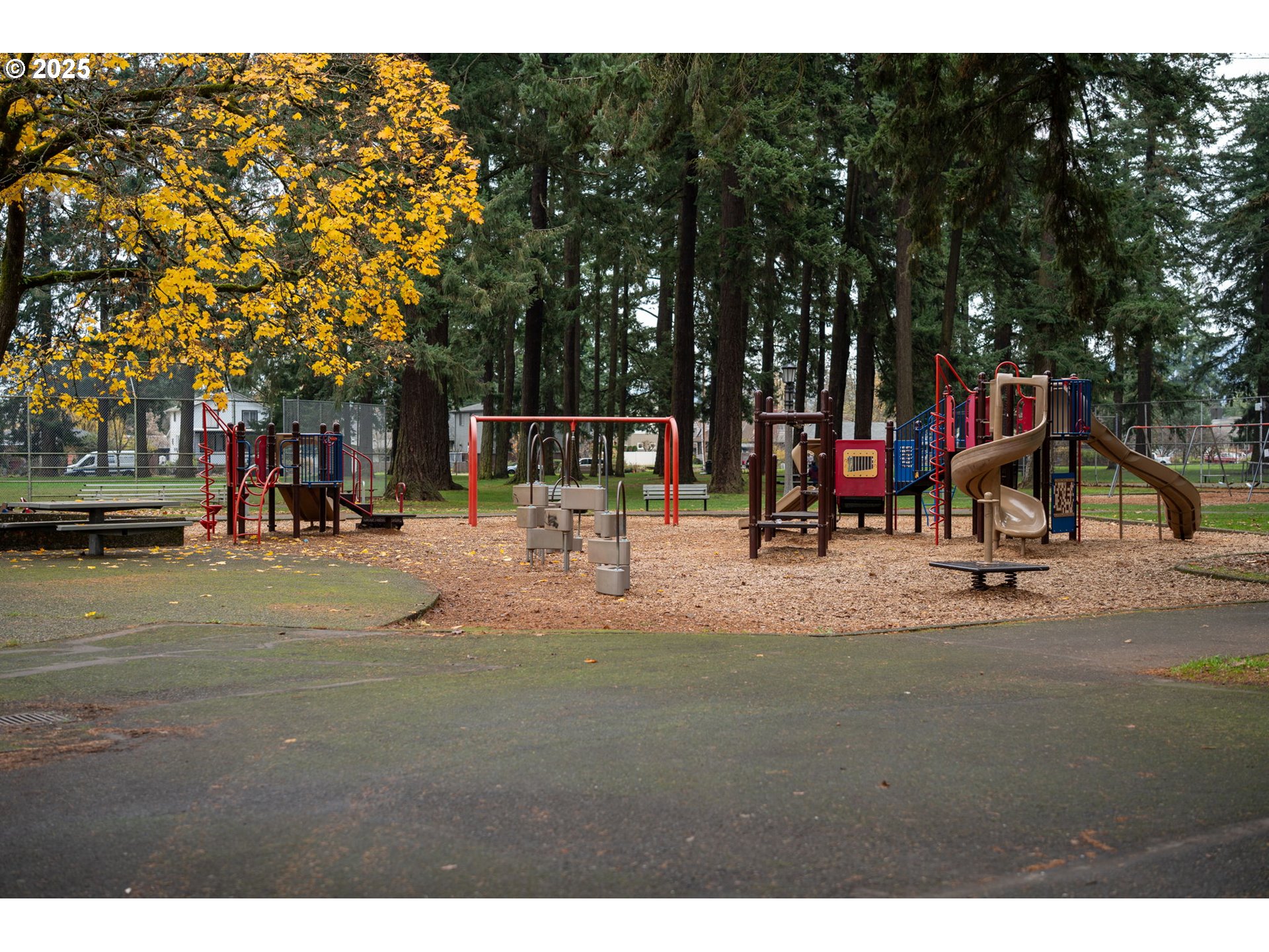 7204 Southeast Steele Street Portland, OR 97206 - Photo 32 of 37 a view of park with large trees