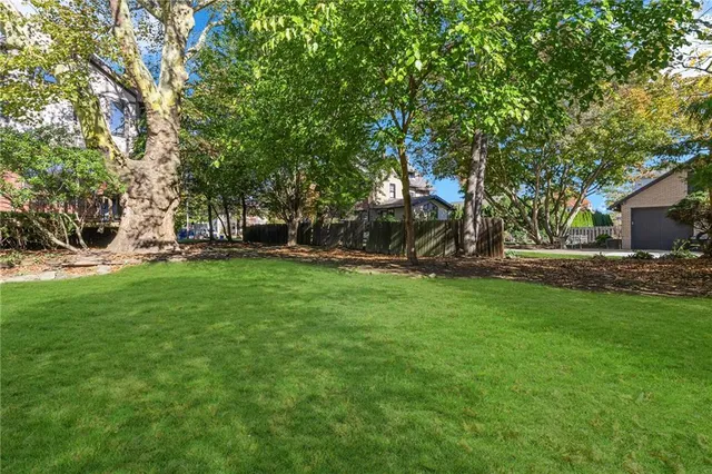 a view of a park with large trees