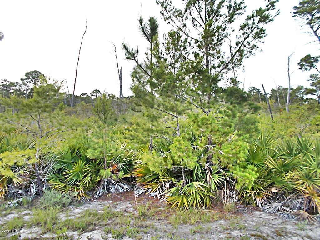 0 Ridgecrest Parkway Eastpoint, FL 32328 - Photo 1 of 6