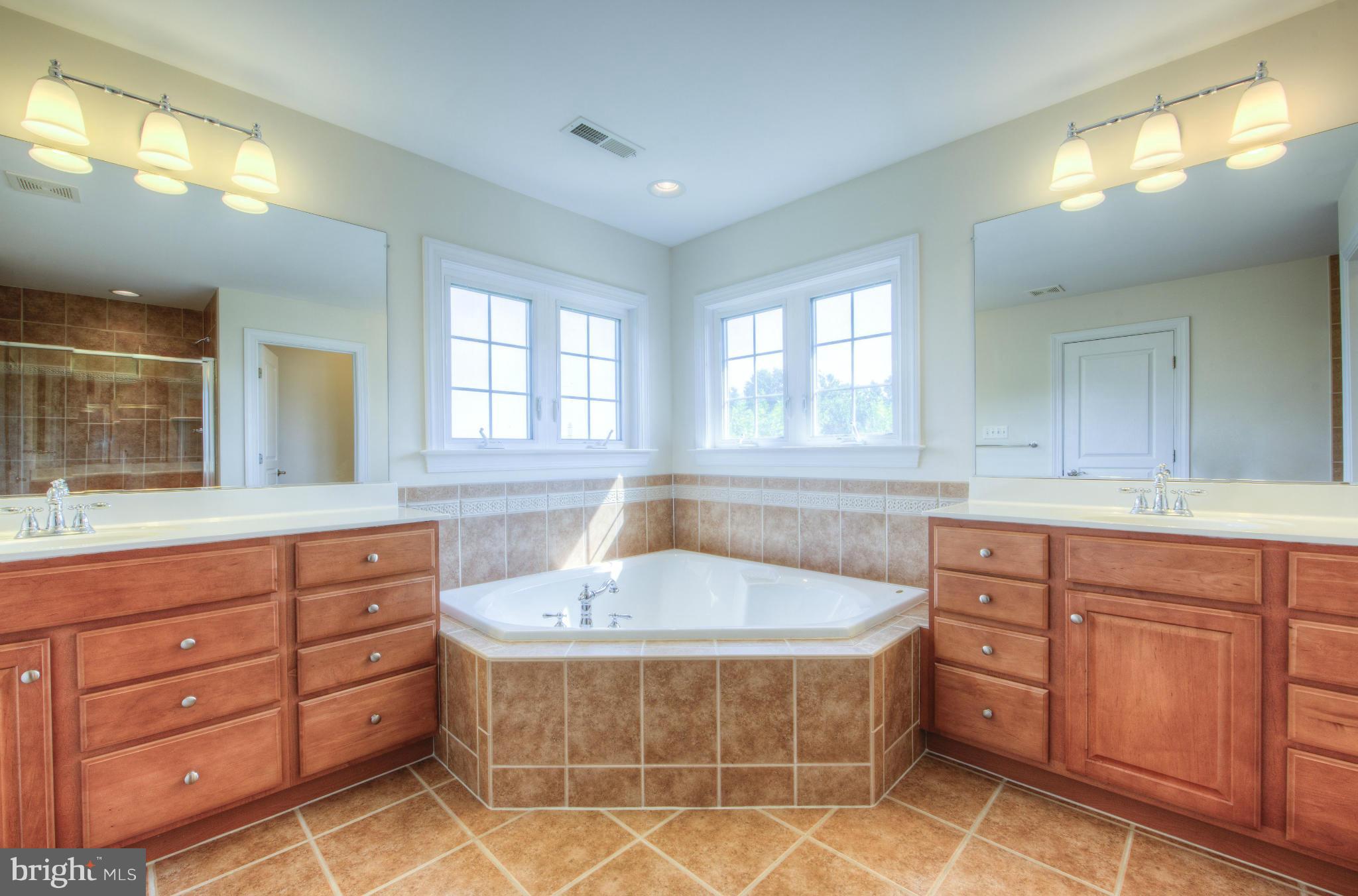 4035 Sapling Way Triangle, VA 22172 - Photo 19 of 30 Master Bath