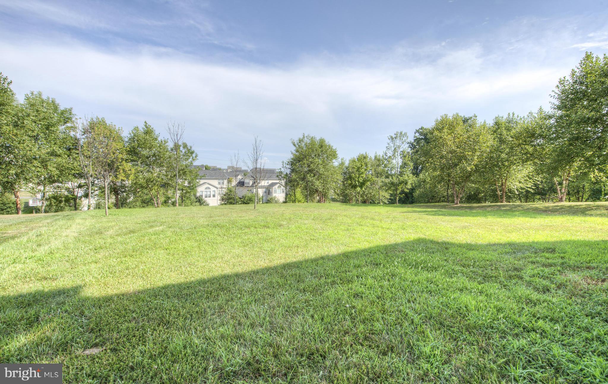 4035 Sapling Way Triangle, VA 22172 - Photo 4 of 30 Rear yard