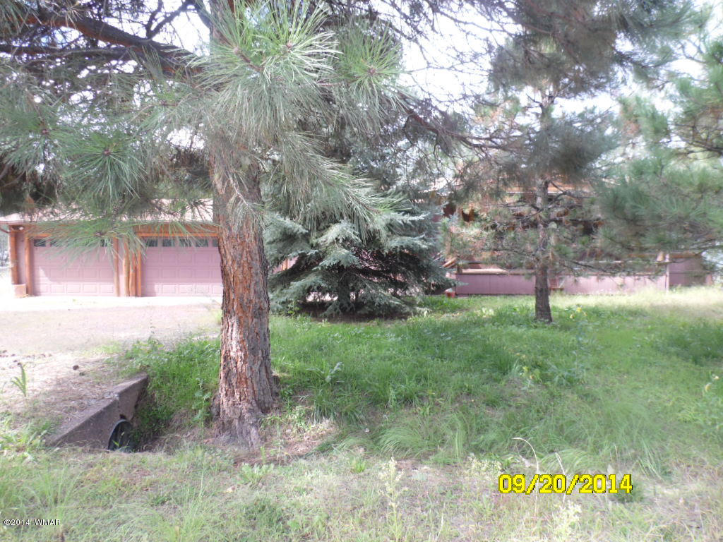 5018 South Rimwood Road Pine, AZ 85544 - Photo 13 of 32