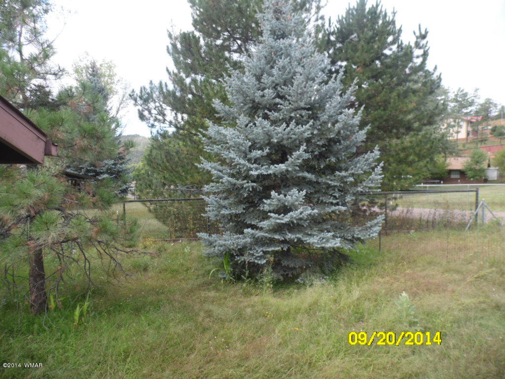 5018 South Rimwood Road Pine, AZ 85544 - Photo 5 of 32