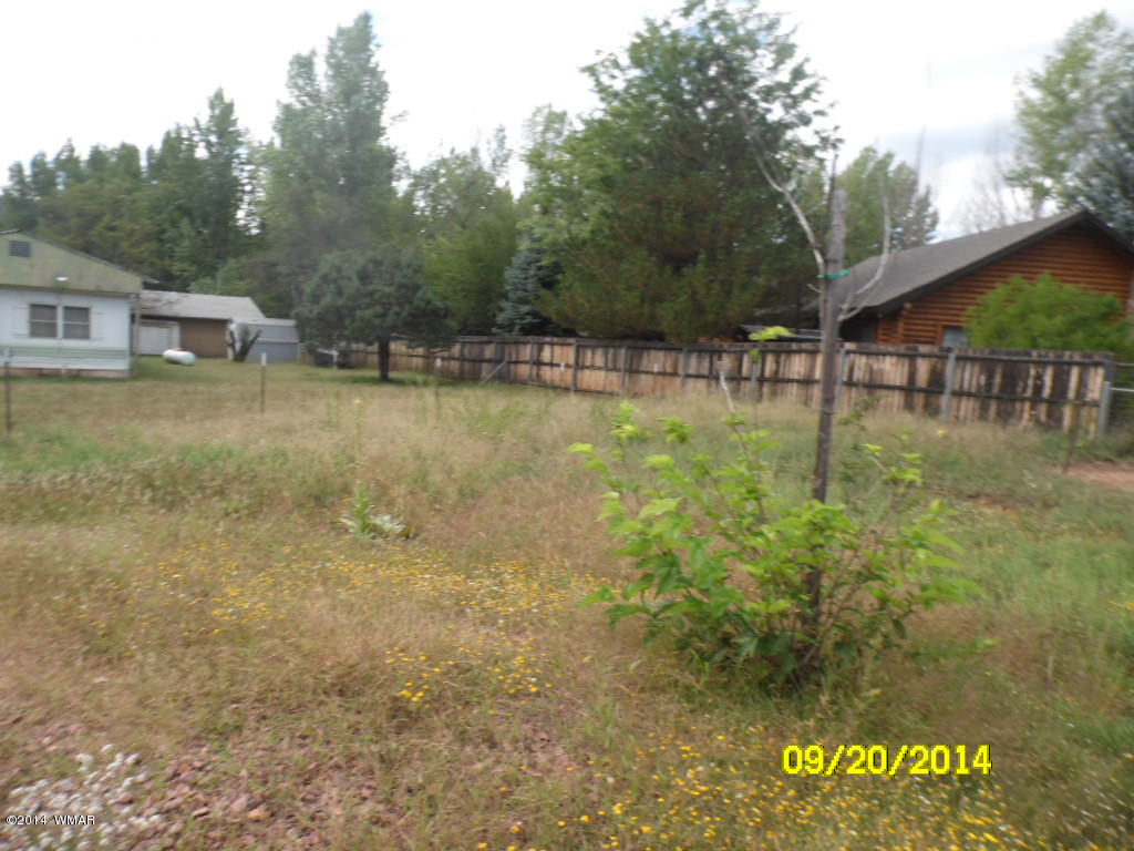 5018 South Rimwood Road Pine, AZ 85544 - Photo 8 of 32