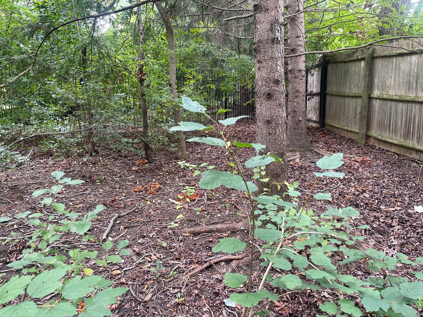 1351 North Sheridan Road Lake Forest, IL 60045 - Photo 2 of 9 a backyard of a house