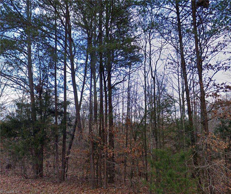 200 Marshall Smith Road Colfax, NC 27235 - Photo 1 of 1 Gallery Image 1