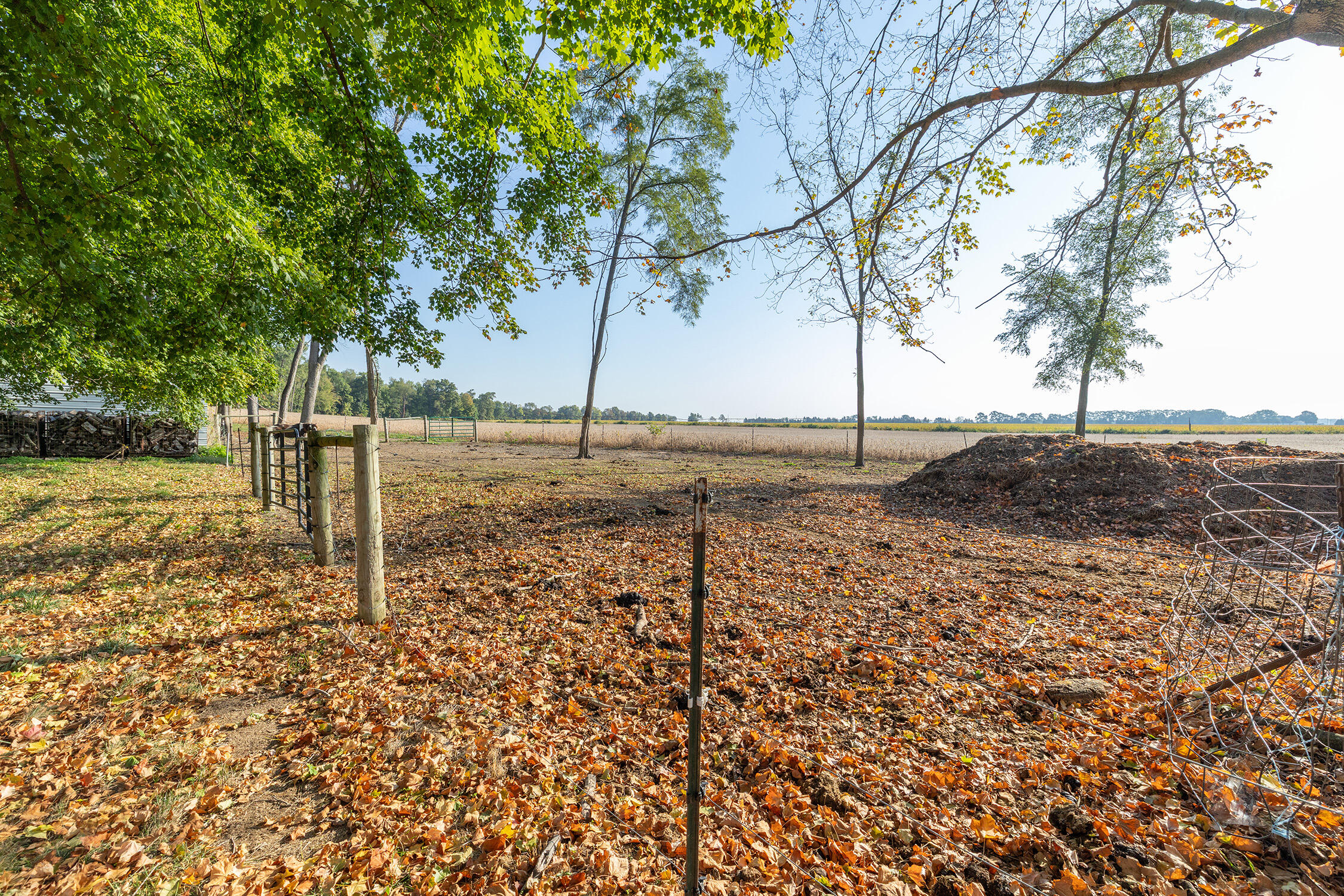 63779 Youngs Prairie Road Constantine, MI 49042 - Photo 44 of 60 6L2A9890