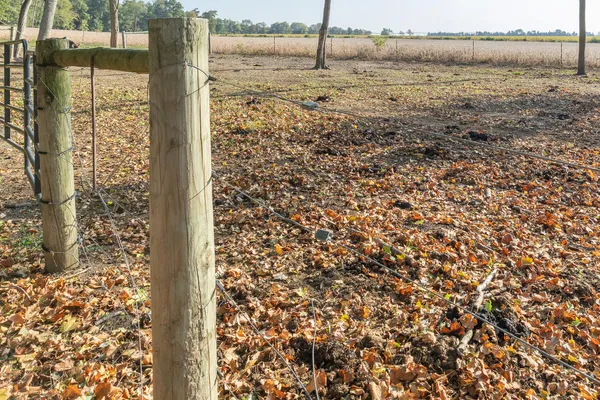 $524,900 | 63779 Youngs Prairie Road, Constantine, MI 49042