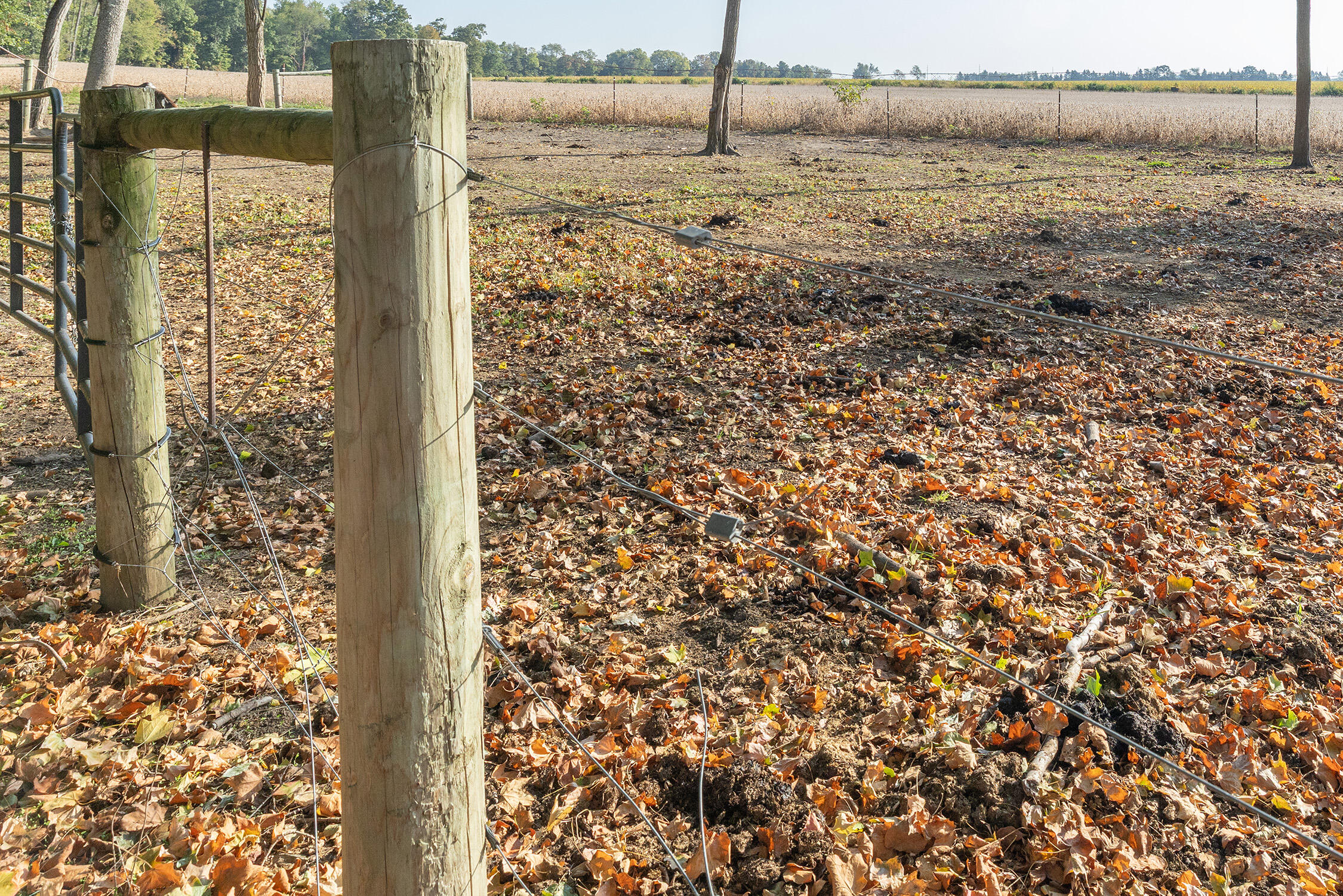 63779 Youngs Prairie Road Constantine, MI 49042 - Photo 45 of 60 6L2A9891