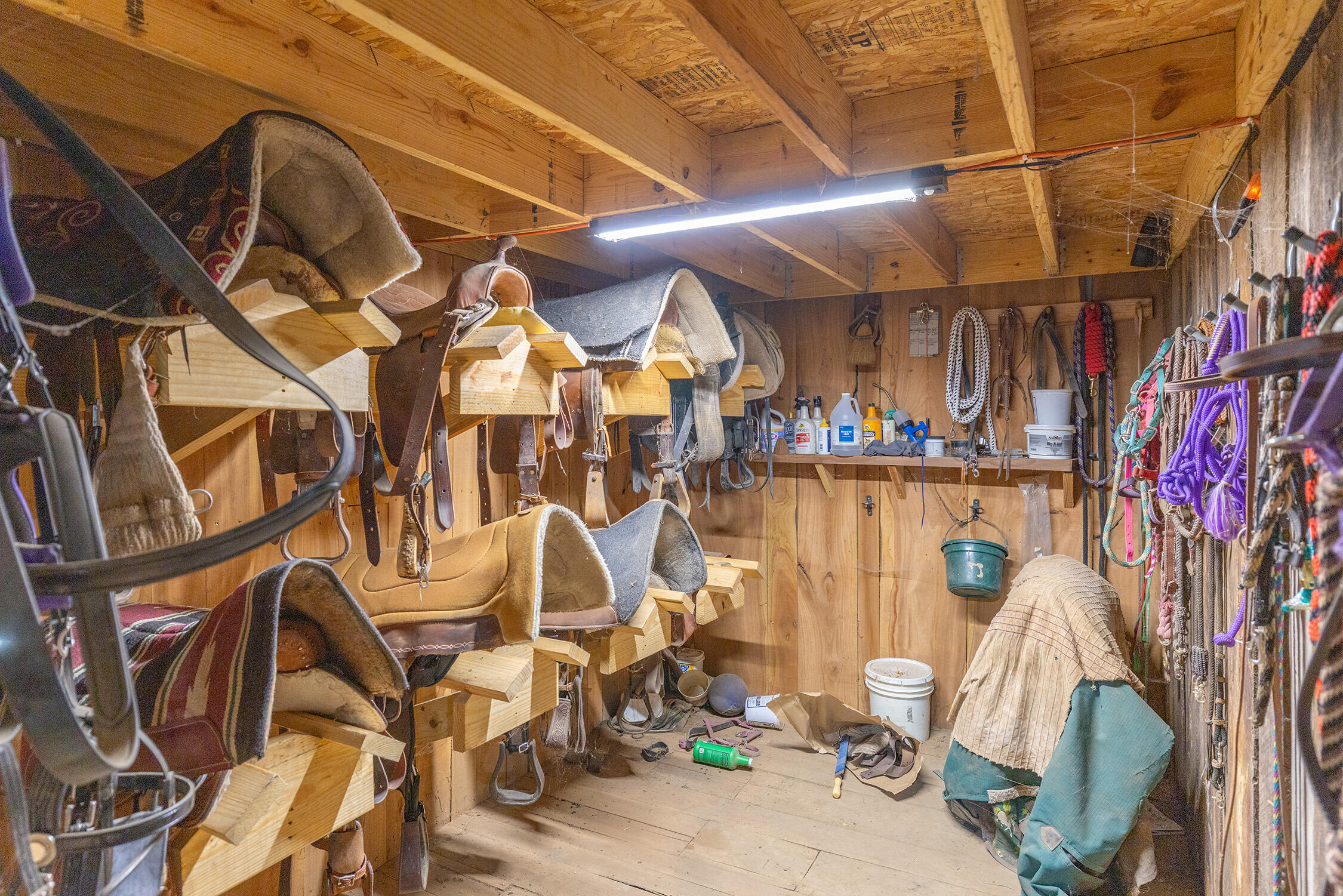 63779 Youngs Prairie Road Constantine, MI 49042 - Photo 46 of 60 6L2A9900