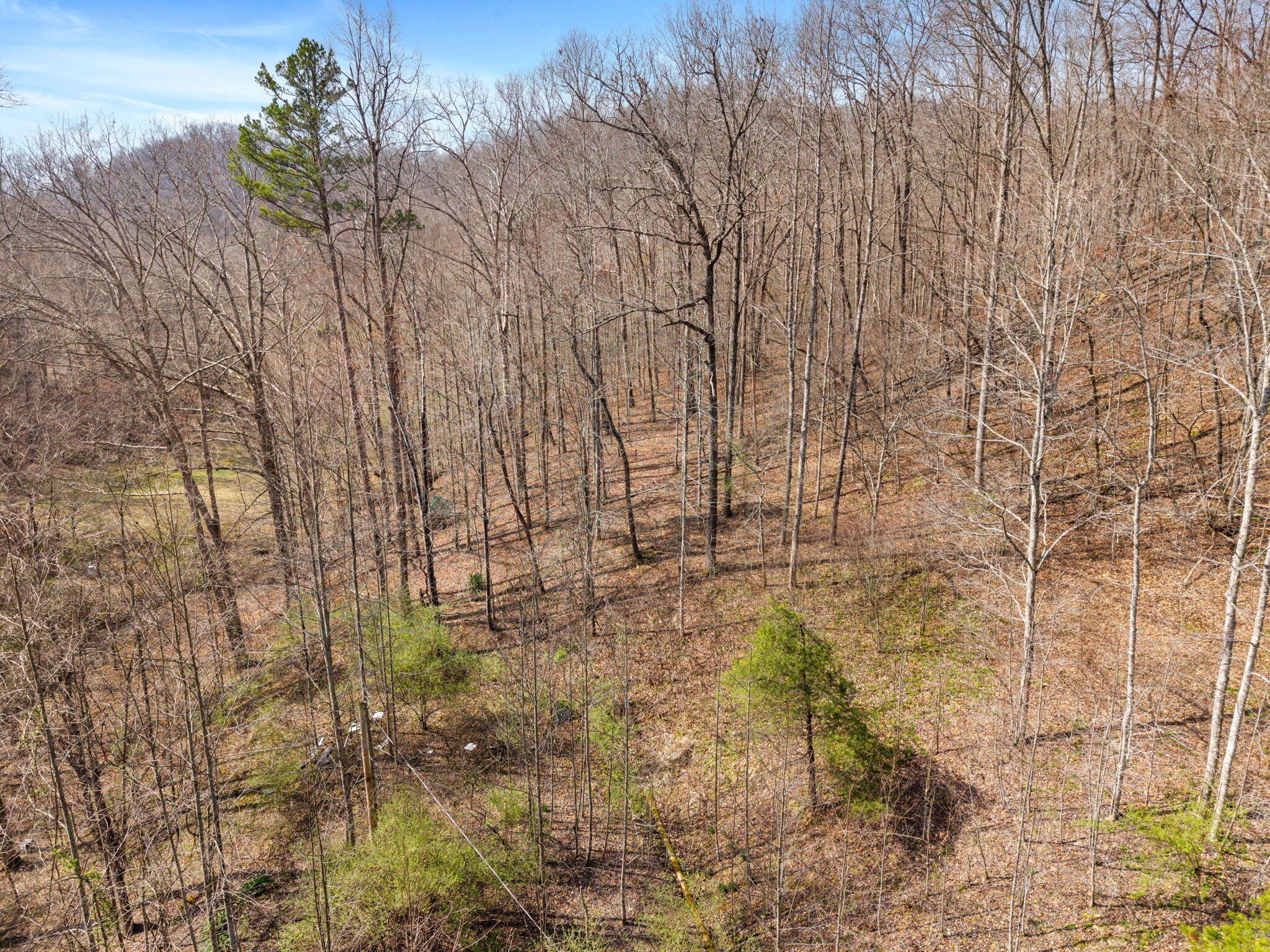 1230 Possum Trot Road Manchester, KY 40962 - Photo 9 of 25 12-web-or-mls-DJI_20260321114303_0027_D