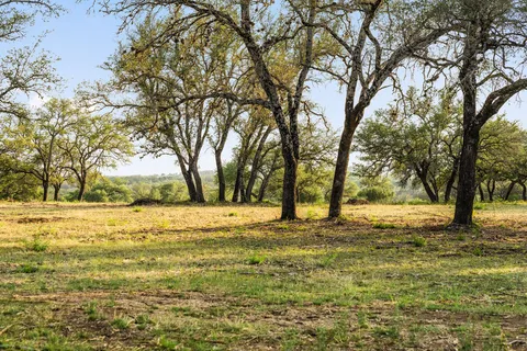 a view of yard with trees