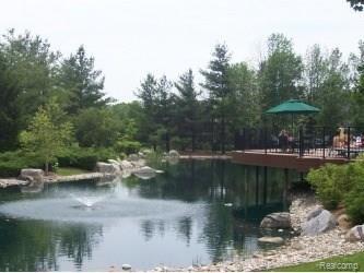1604 Chase Rochester, MI 48307 - Photo 41 of 58 pond at stoney creek ridge.jpg