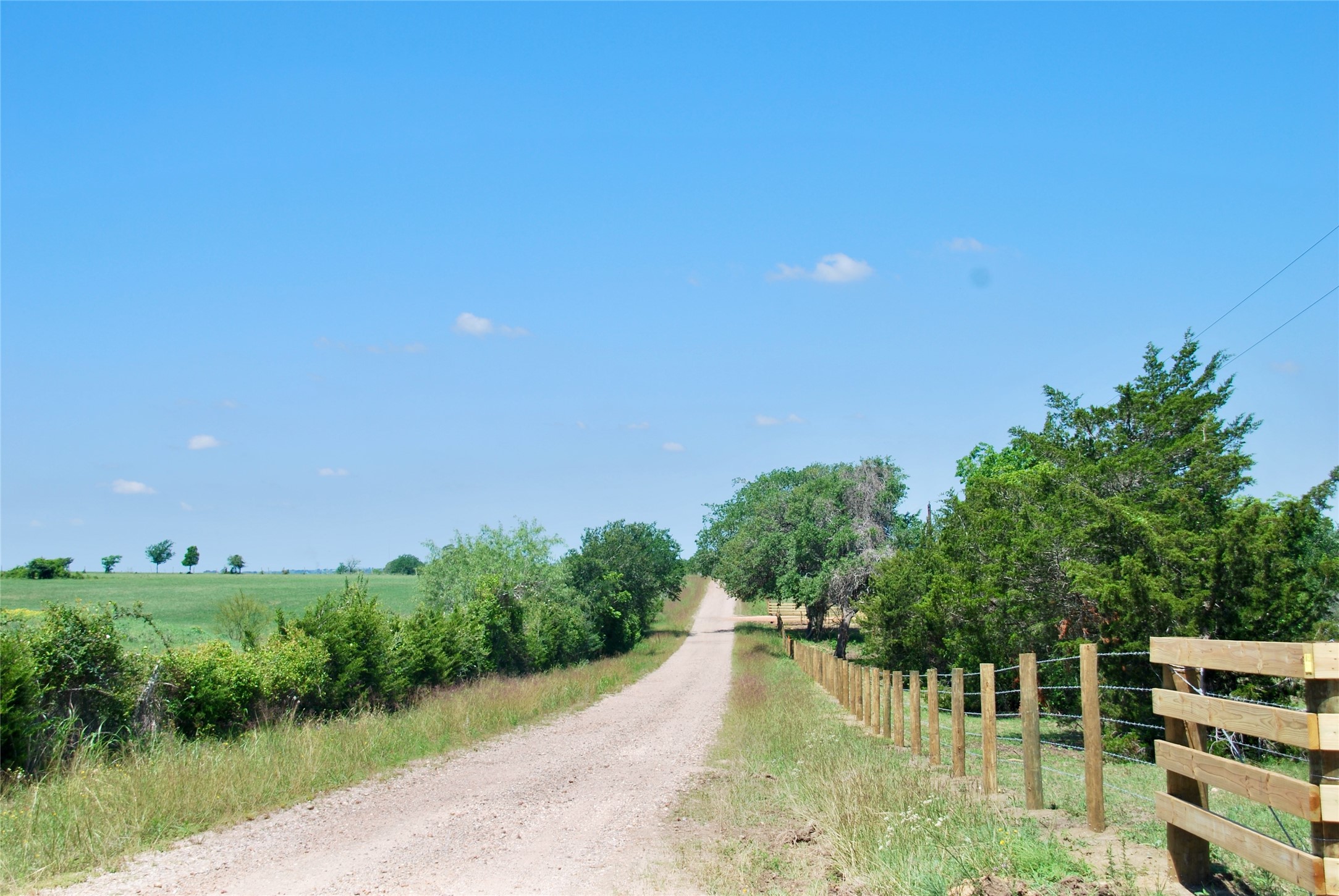 1049 Muehr Road Weimar, TX 78962 - Photo 5 of 24 a view of a lake with a house in background