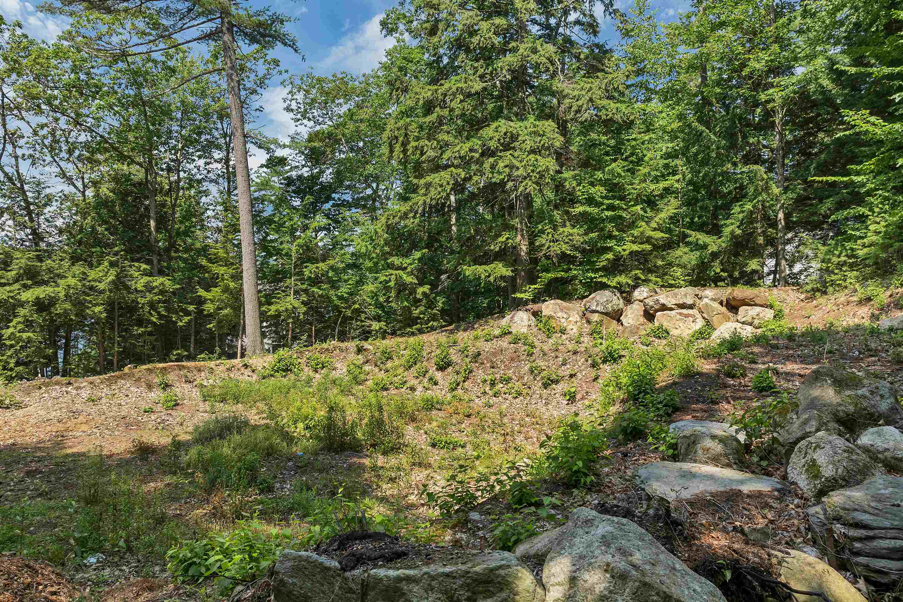 Lot 33 Ridge Road, Unit LOT 33 Center Barnstead, NH 03225 - Photo 5 of 28