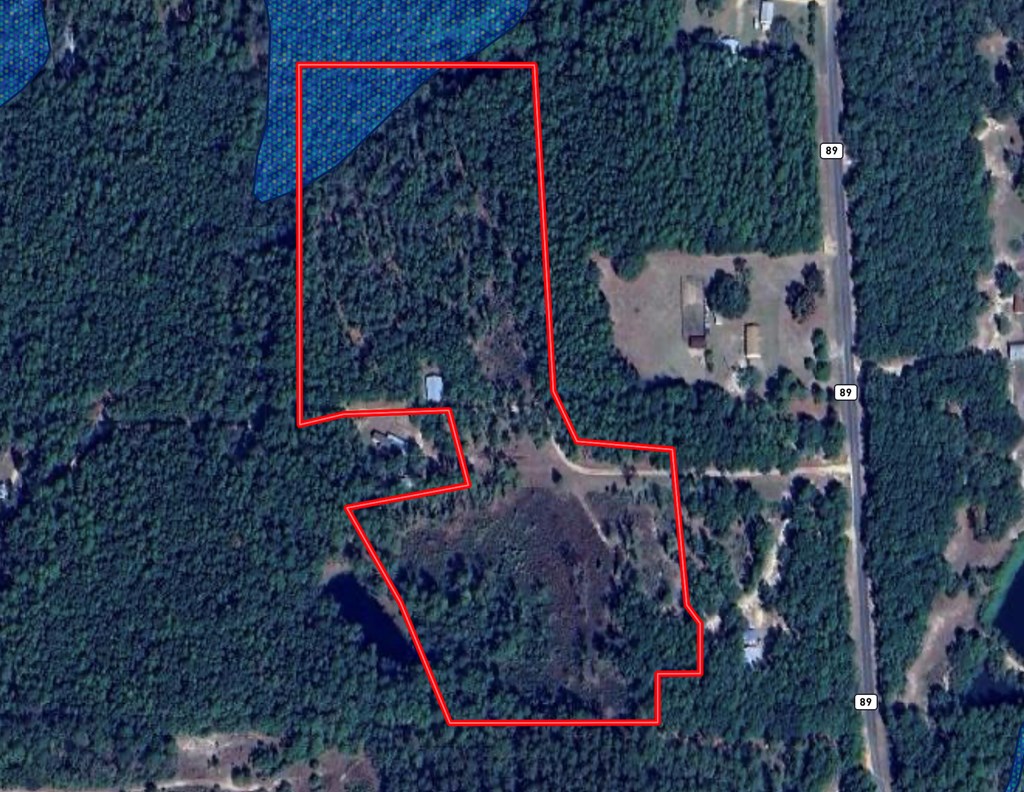 16.8-ac Mound Road Black, AL 36314 - Photo 14 of 17
