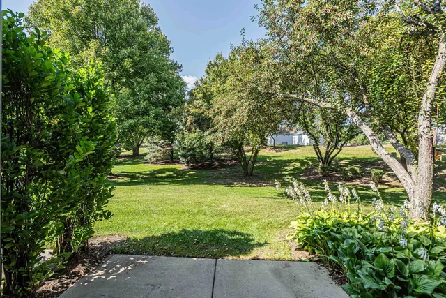 a view of yard with green space