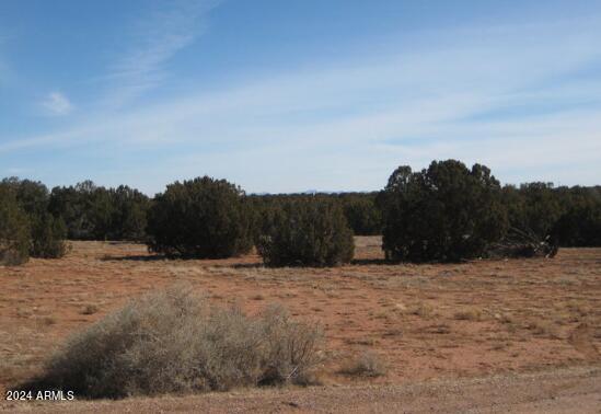 3588 Mill View Road, Unit 1 Heber, AZ 85928 - Photo 3 of 3 #3