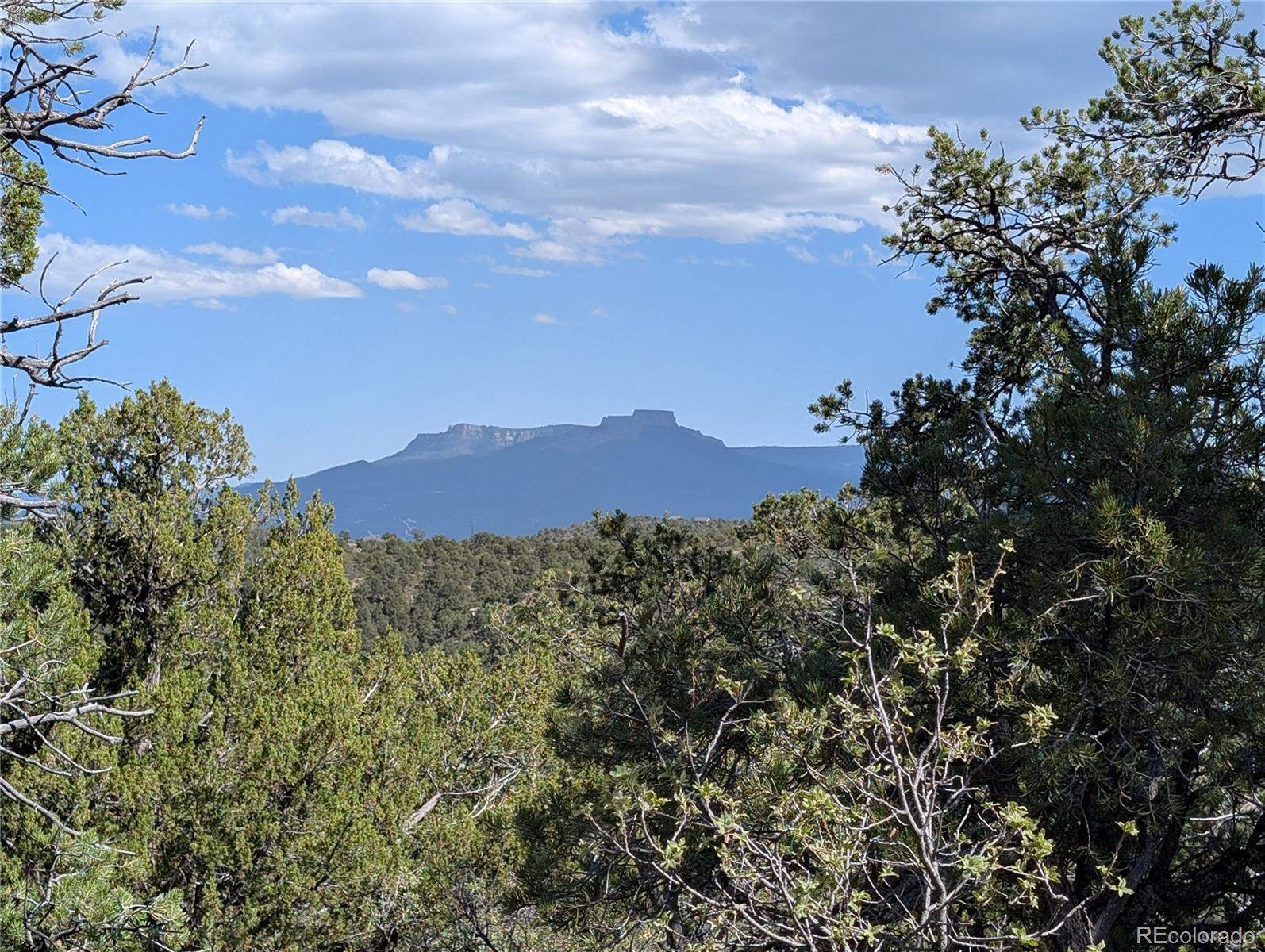 Fishers Peak Ranch Trinidad, CO 81082 - Photo 14 of 34