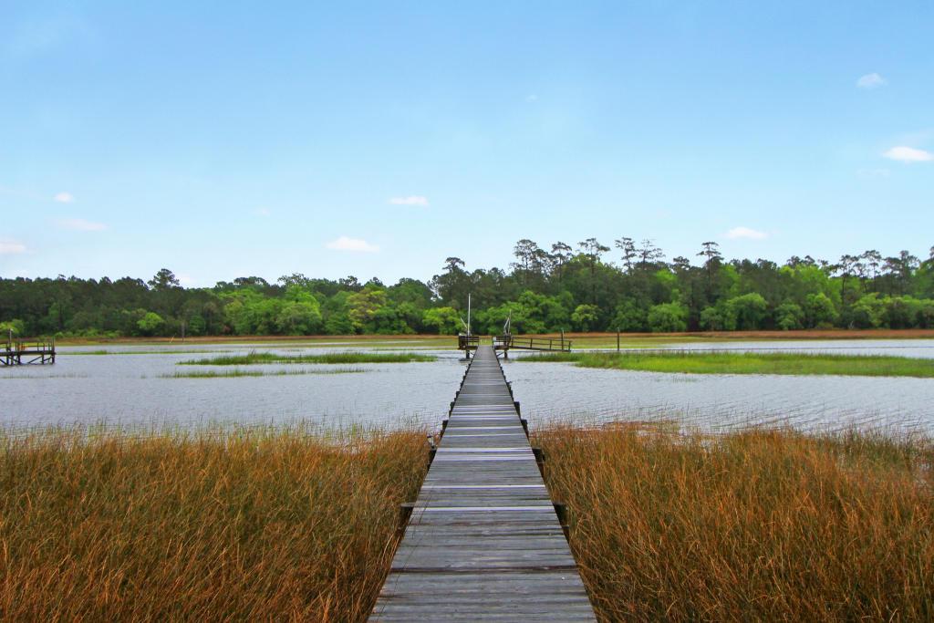 436 Rice Hope Drive Mount Pleasant, SC 29464 - Photo 29 of 34 Private Dock