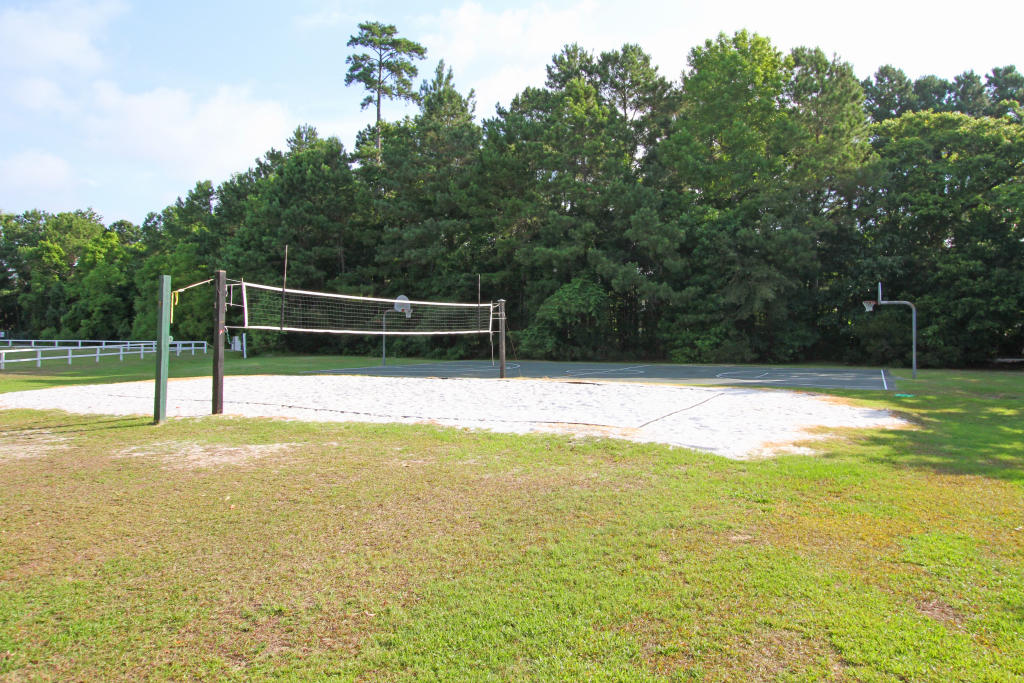 436 Rice Hope Drive Mount Pleasant, SC 29464 - Photo 33 of 34 Volleyball Courts
