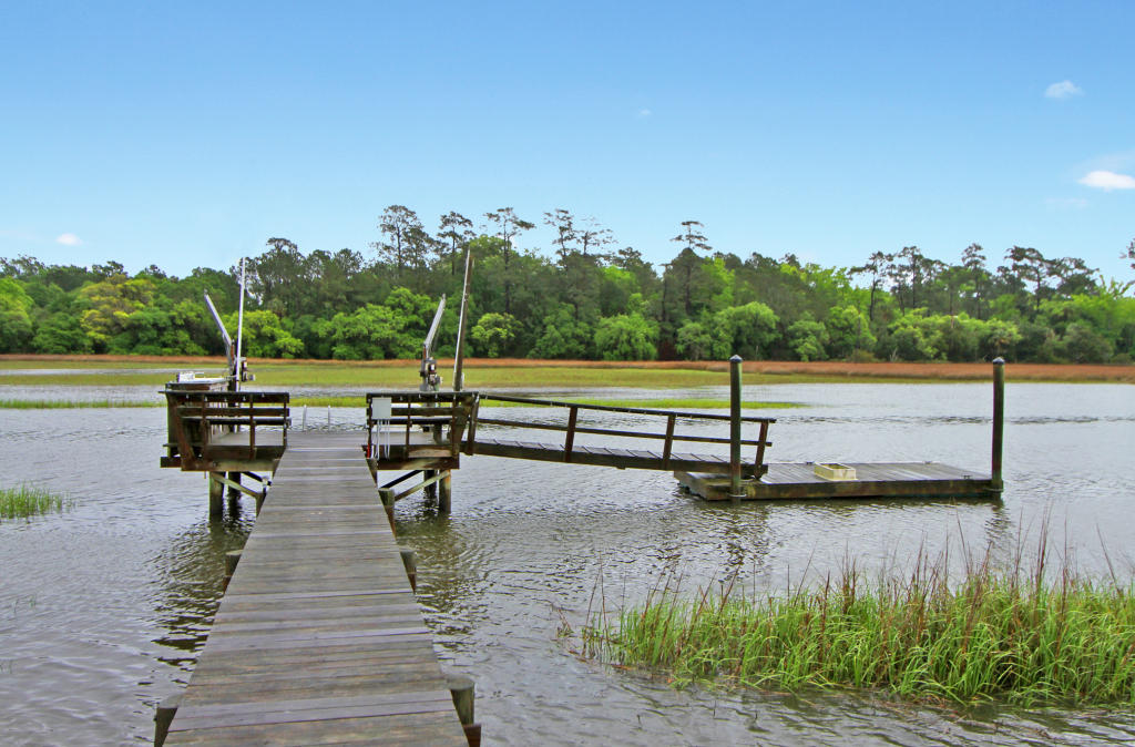 436 Rice Hope Drive Mount Pleasant, SC 29464 - Photo 5 of 34 Private Dock