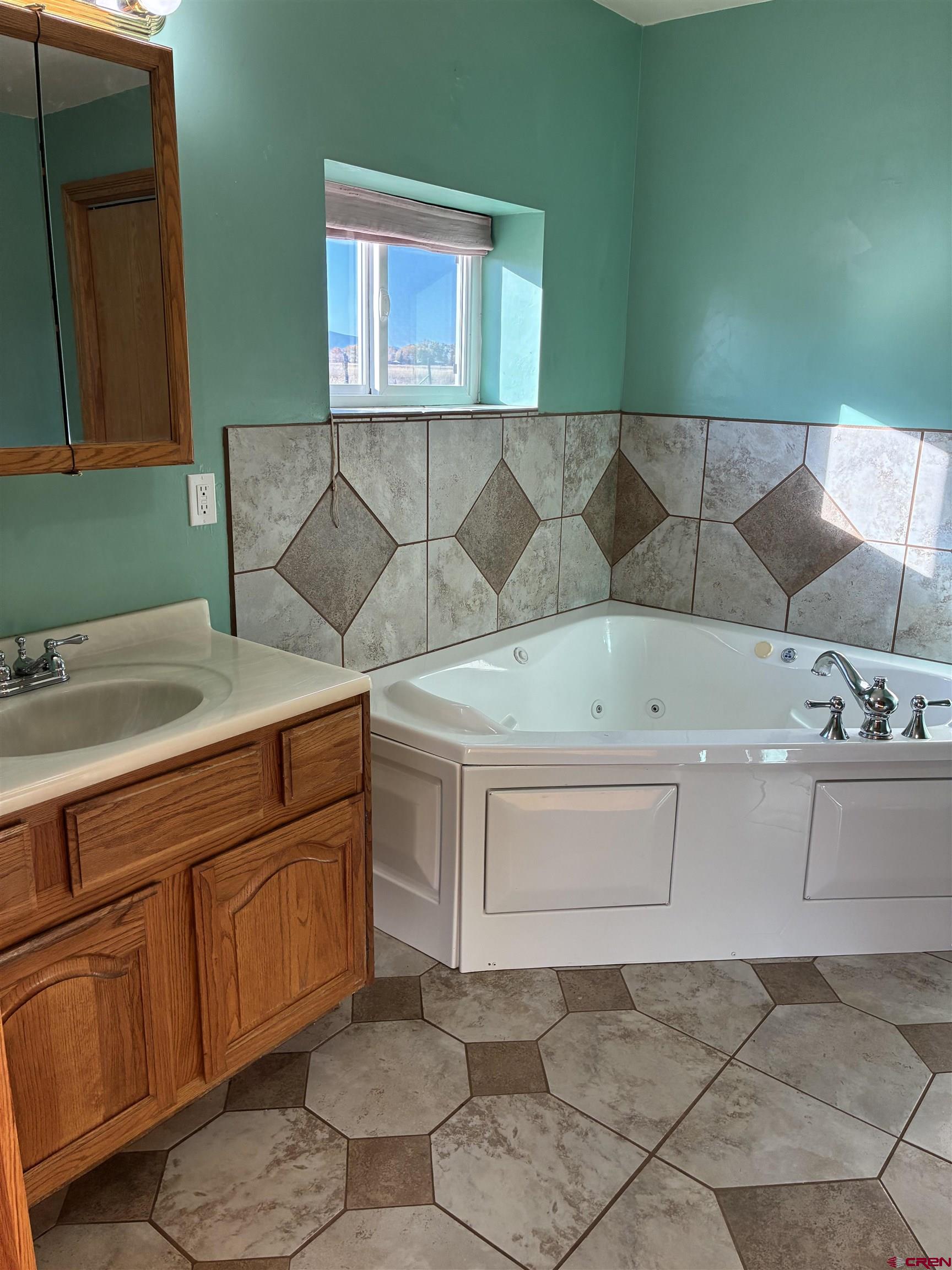 15334 County Rd T.5 La Jara, CO 81140 - Photo 19 of 28 a bathroom with a sink and a mirror