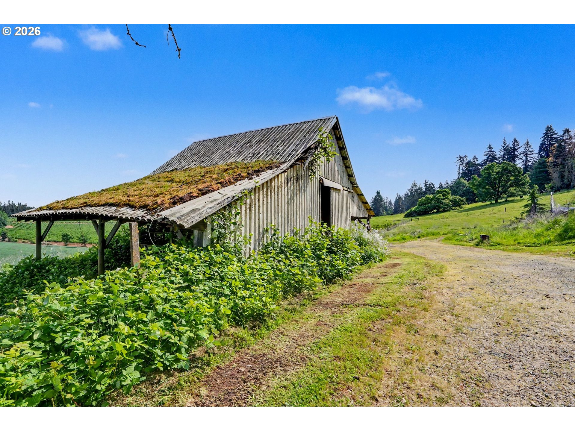 17135 Herigstad Road Northeast Silverton, OR 97381 - Photo 47 of 48
