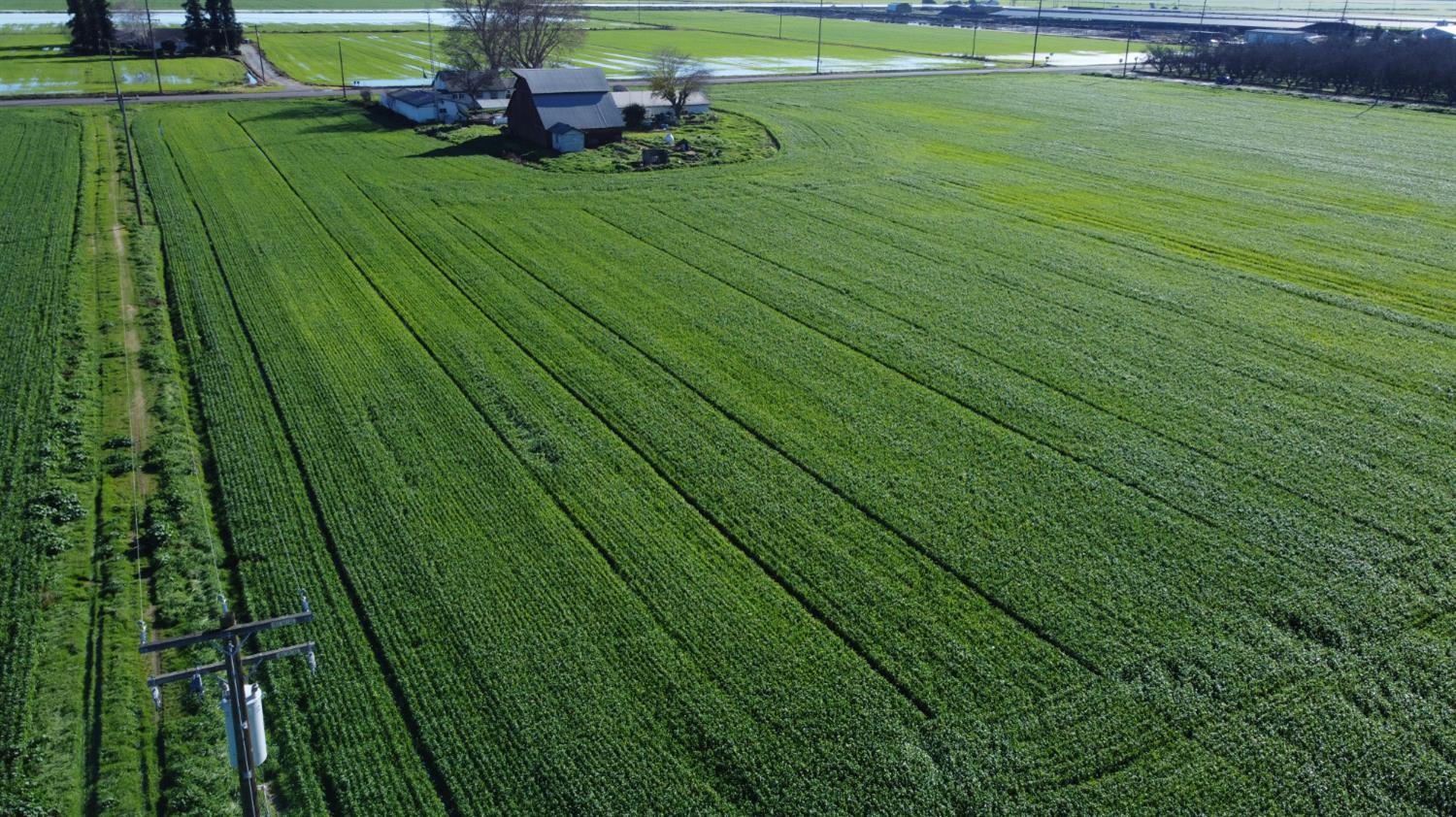 13085 North Vincent Road Turlock, CA 95380 - Photo 5 of 11 a view of a golf ground with huge green field