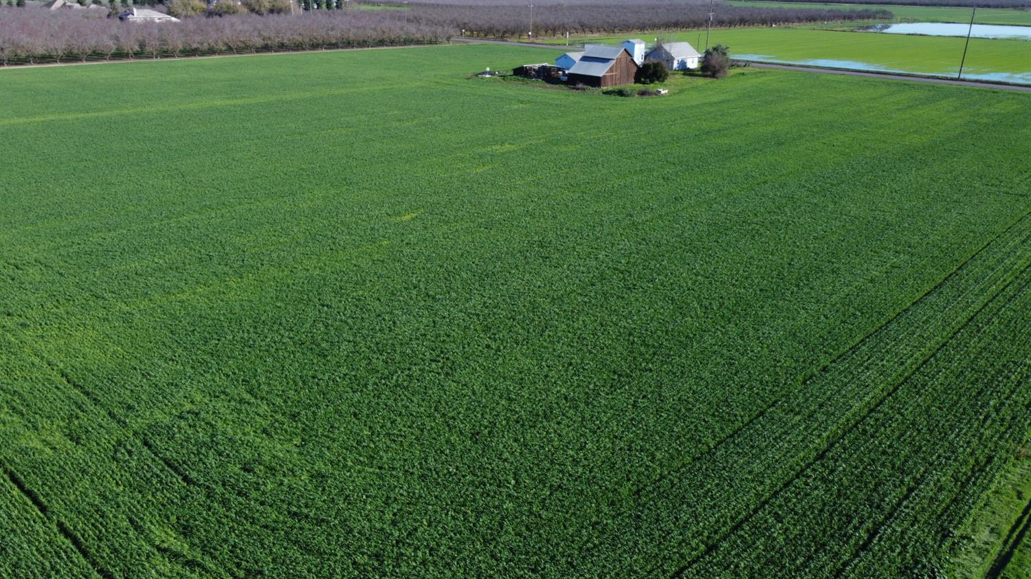 13085 North Vincent Road Turlock, CA 95380 - Photo 6 of 11